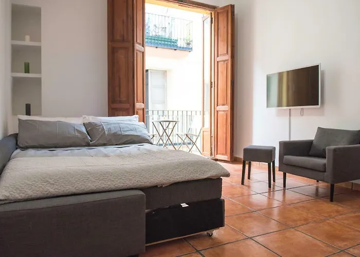 Ambrosio Flats Valencia - El Carmen
